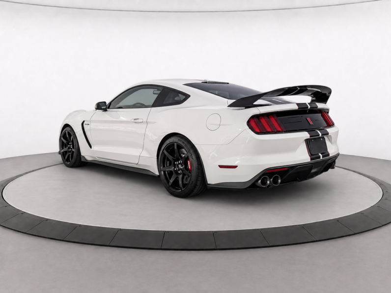 2019 Ford Mustang Shelby GT350R