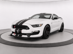 2019 Ford Mustang Shelby GT350R