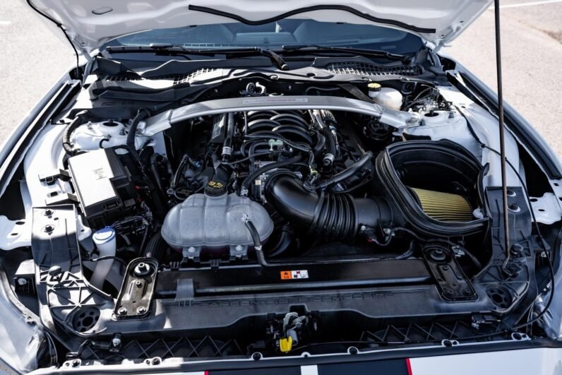 2019 Ford Mustang Shelby GT350R