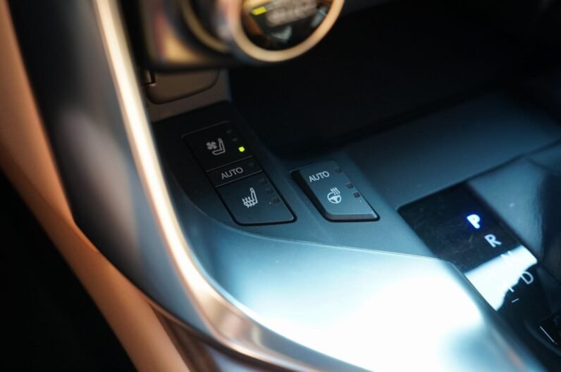 2022 Lexus LX 600 Premium