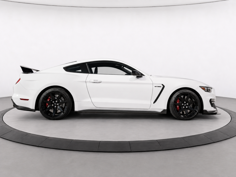 2019 Ford Mustang Shelby GT350R